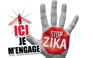Le zika, un seul mot d'ordre : la prévention !