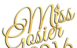 Appel à candidatures pour Miss Gosier 2016