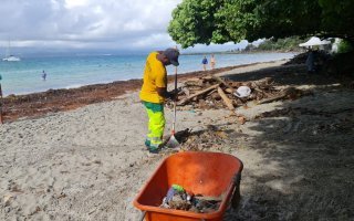 Nettoyage de la plage à l'Anse Canot le Gosier en action