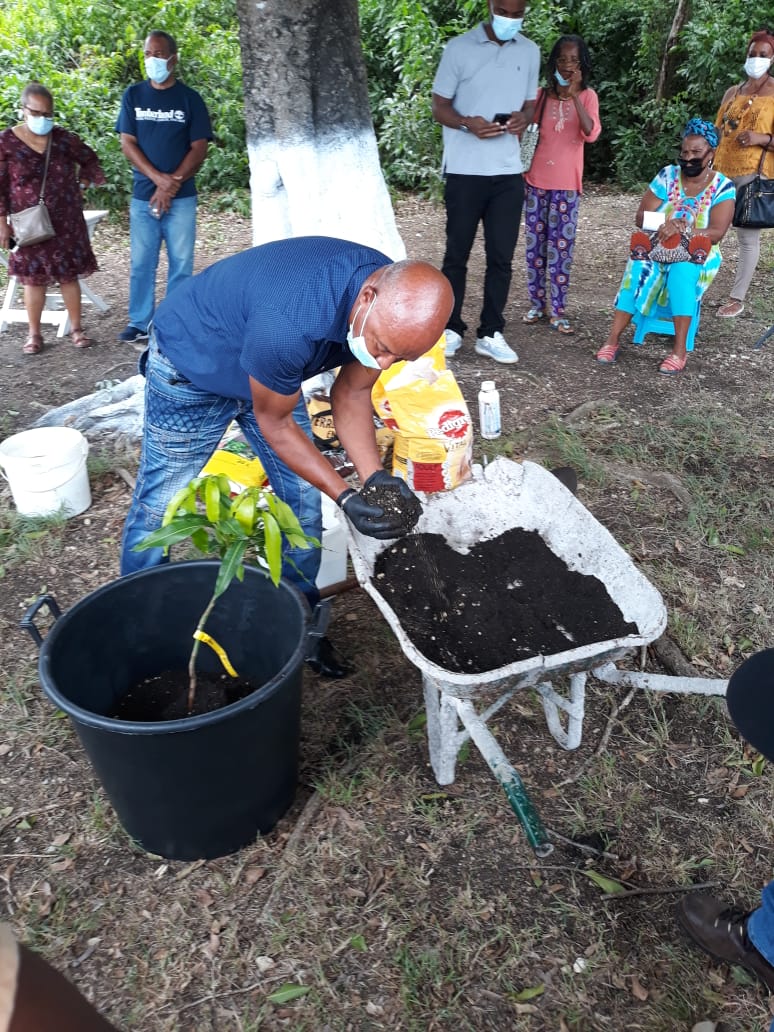 Nomad' Plantes ou la plantation d'arbres fruitiers en pot par l'AJSF