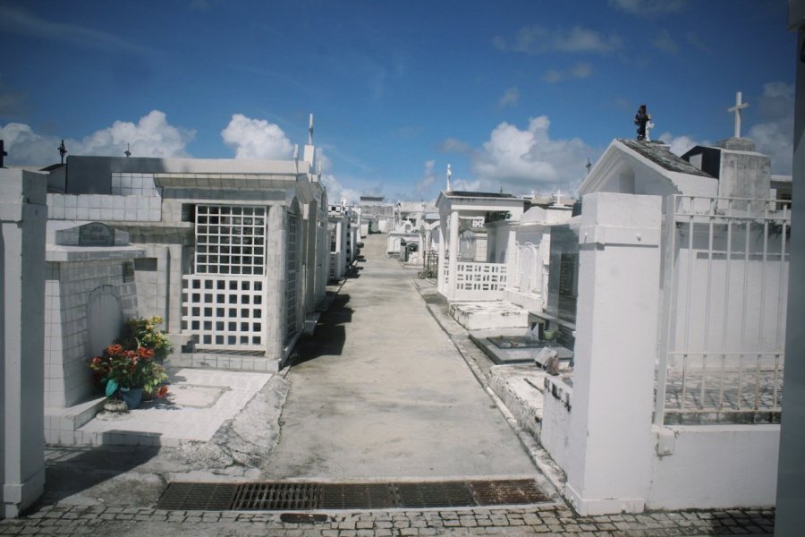 Projet de reprise de concession fun&eacute;raire en &eacute;tat d'abandon