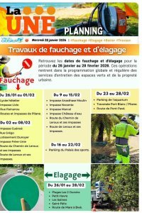 Travaux de fauchage et &eacute;lagage 