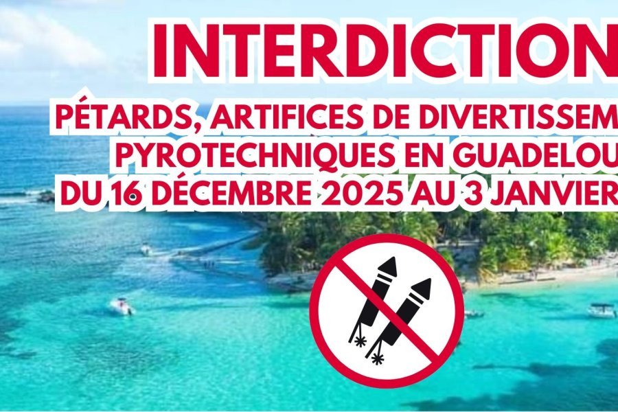 Interdiction de vente, de d&eacute;tention et d'utilisation de p&eacute;tards, d'artifices de divertissement et pyrotechniques