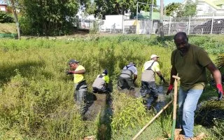 Nettoyage de la mare de Mare-Gaillard