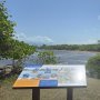À Saint-Félix, partez à la découverte des oiseaux 