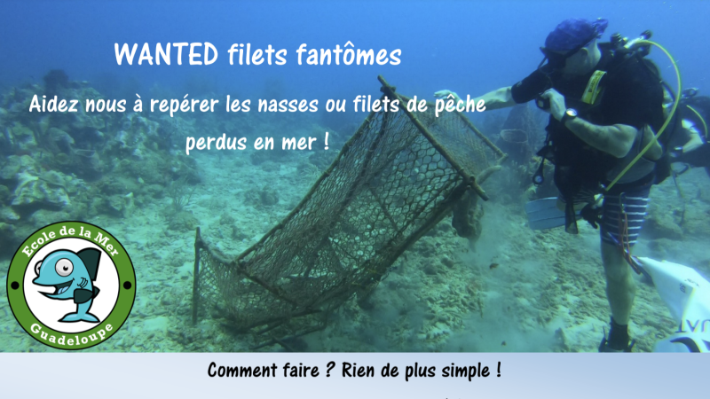 Comment adopter la tendance filet de pêche ? - Magazine Avantages