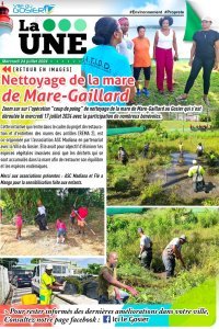 Nettoyage de la mare de Mare-Gaillard