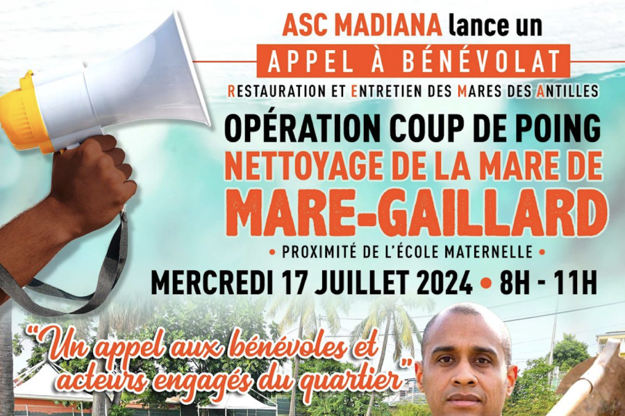 Opération coup de poing “Nettoyage de la mare de Mare-Gaillard" 