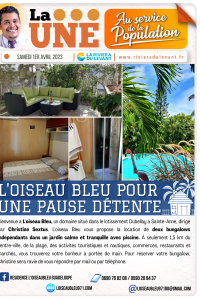 L'oiseau Bleu pour une pause d&eacute;tente