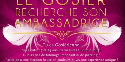 COMMUNIQUÉ DE PRESSE : Appel à candidatures pour l'élection de MISS GOSIER 2013
