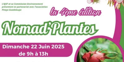 Nomad' Plantes pour découvrir et s'approprier le pitaya