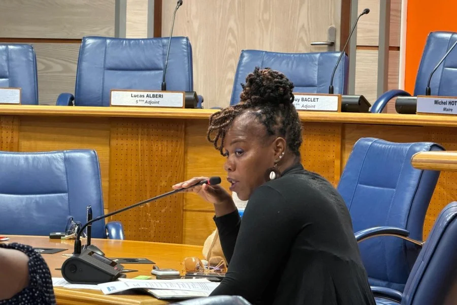 Réunions préparatoires des conseils de quartier n°1 et 2 