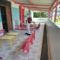 Photo 11