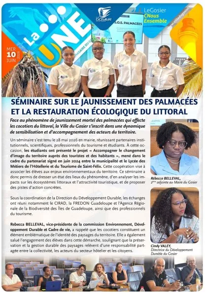 Séminaire sur le jaunissement des palmacées et la restauration écologique du littoral