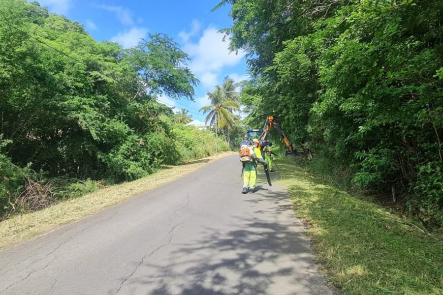 Fachage & élagage planning du mois de décembre 