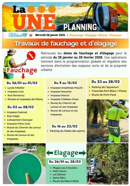 Travaux de fauchage et &eacute;lagage 
