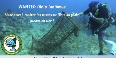 L'école de la mer, un acteur au service de l'environnement