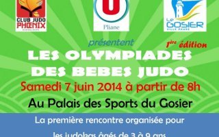 Les Olympiades des bébés judo au Gosier le samedi 7 juin 2014
