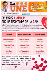Célébrez L'amour sur le territoire de la carl
