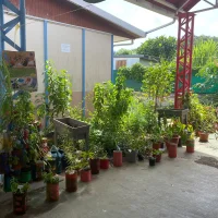 Photo 11
