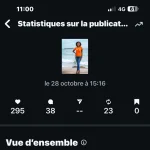 Comptage LIKES INSTAGRAM - Morgane DUVERGER - Prix Digital Diva