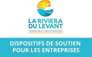 Dispositifs de soutien pour les entreprises en Guadeloupe