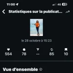 Comptage LIKES INSTAGRAM - Océane ROBINET - Prix Digital Diva
