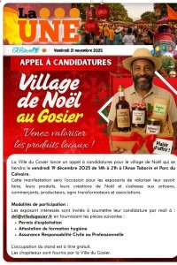  Appel à candidatures : village de Noël au Gosier