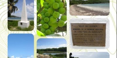 Report de la visite guidée du 26 juillet au 16 août