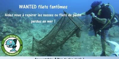 L'école de la mer, un acteur au service de l'environnement
