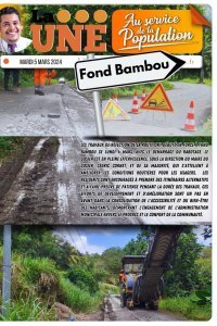 Travaux : fond bambou 