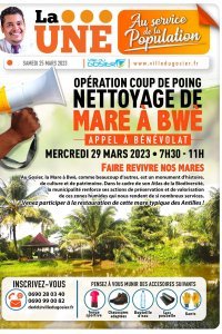 Opération COUP DE POING : nettoyage de la mare a Bwé à Cocoyer au Gosier