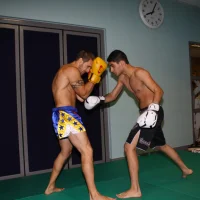Photo 28