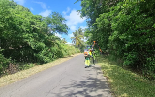 Fauchage & élagage planning du mois de décembre 