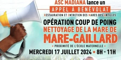 Opération coup de poing “Nettoyage de la mare de Mare-Gaillard" 