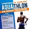 Affiche de la manifestation