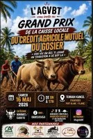 Grand Prix de la Caisse Locale du Crédit Agricole Mutuel du Gosier