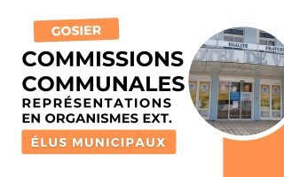 Désignation des membres des commissions communales du Gosier et représentations au sein des organismes extérieurs