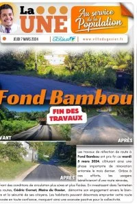 Fin des travaux : Fond Bambou 
