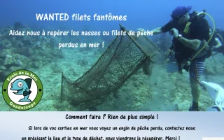 L'école de la mer, un acteur au service de l'environnement