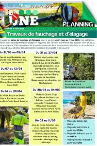 Planning de fauchage et d'élagage du 31 mars au 11 mai 2025
