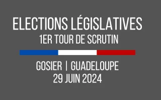 Elections législatives du 29 juin 2024