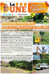 Entretien des espaces publics : reprise des actions du plan vert de Cédric Cornet
