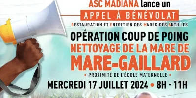 Opération coup de poing “Nettoyage de la mare de Mare-Gaillard" 