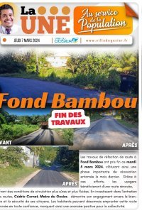 Fin des travaux : Fond Bambou 