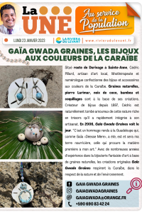 Gaïa gwada graines, les bijoux aux couleurs de la caraïbe