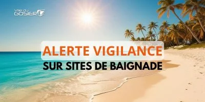 Précaution sanitaire : baignade déconseillée sur les plages du Gosier à compter de ce 9 octobre 2026