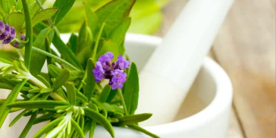 Conférence Santé & Plantes Médicinales avec l'AJSF