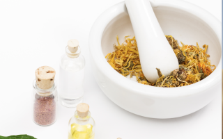 Conf&eacute;rence d&eacute;bat & Plantes M&eacute;dicinales avec L'as Grain d'or