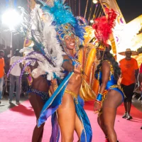 Photo 73